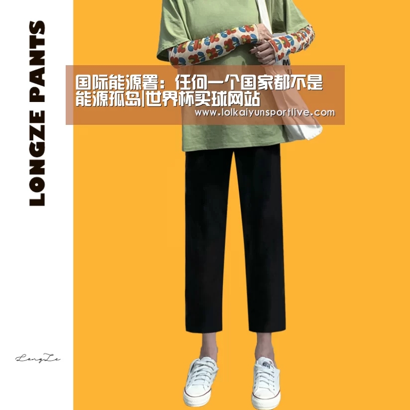 国际能源署:任何一个国家都不是能源孤岛|世界杯买球网站(图3) 世界杯买球网站官网