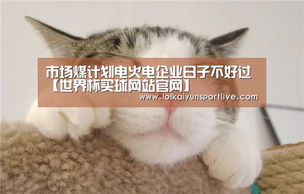 世界杯买球网站官网