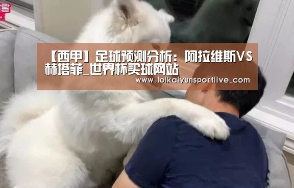 世界杯买球网站官网