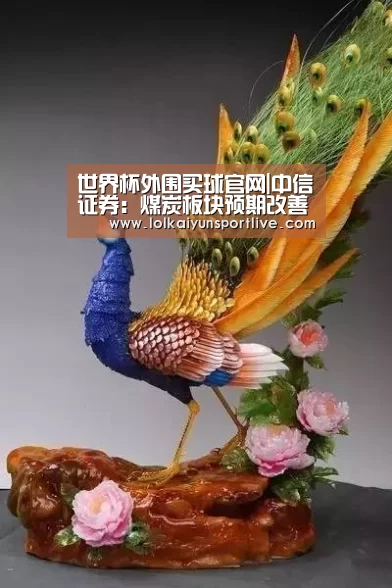 世界杯买球网站官网