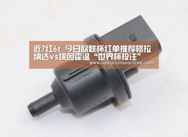 世界杯买球网站官网